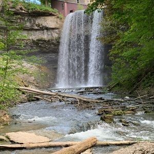 Meet your Posher, Selena